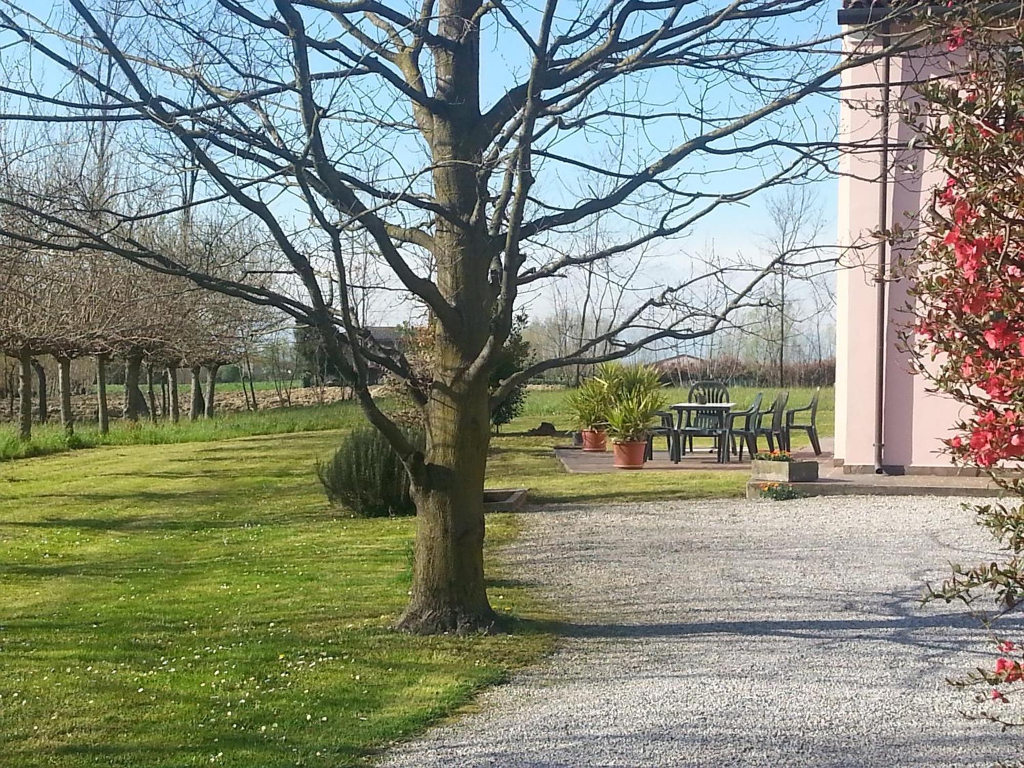 Casarosa B&B Piazzola sul Brenta Eksteriør billede